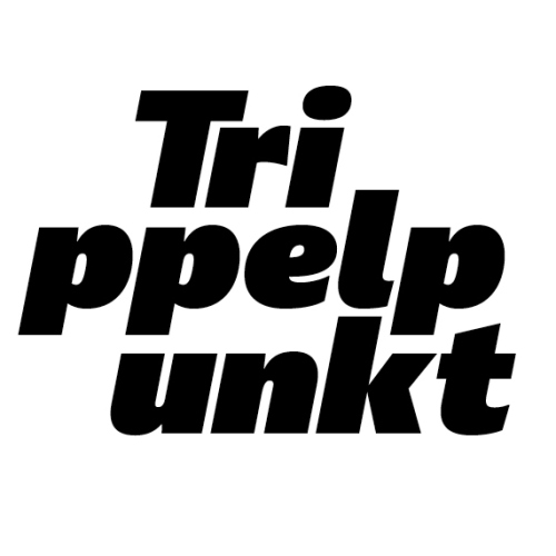 Trippelpunkt